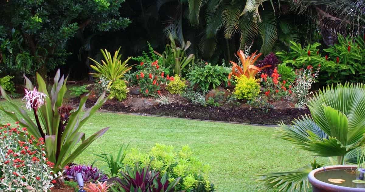 como ahorrar agua en tu jardin durante una sequia