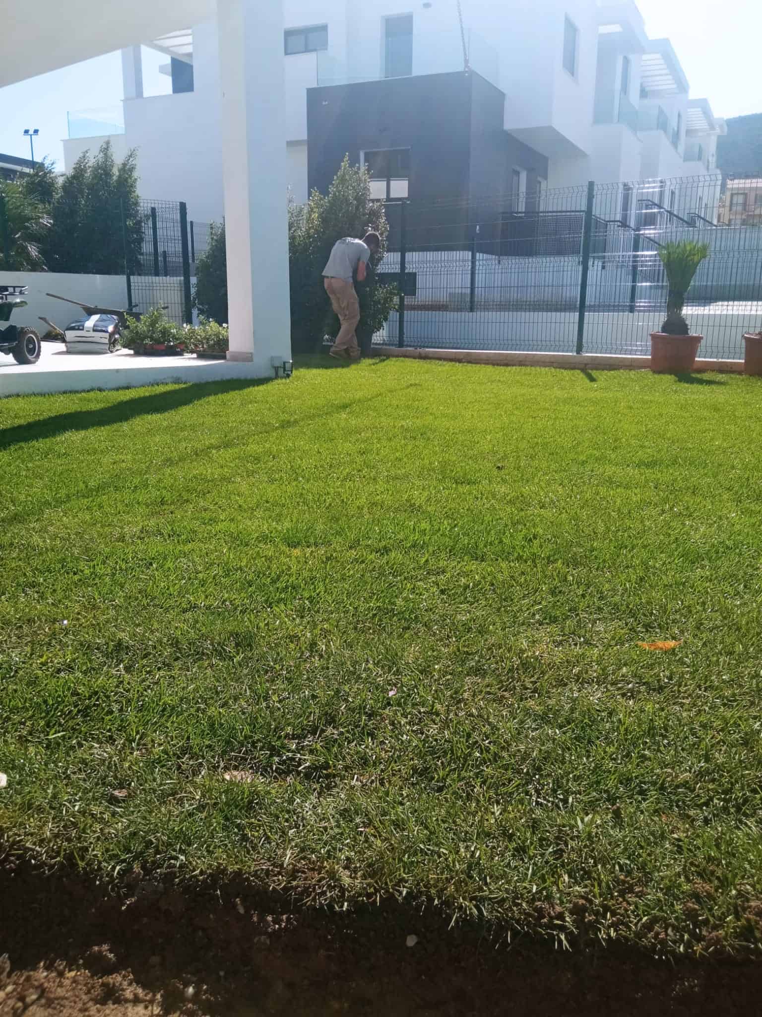 jardineria malaga